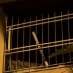 Mersin'de Yangında Hayatını Kaybeden Galip Koç'un Cansız Bedeni Bulundu
