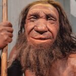 Neandertallerin Burun Yapıları Üzerine 150 Yıllık Teori Çöktü