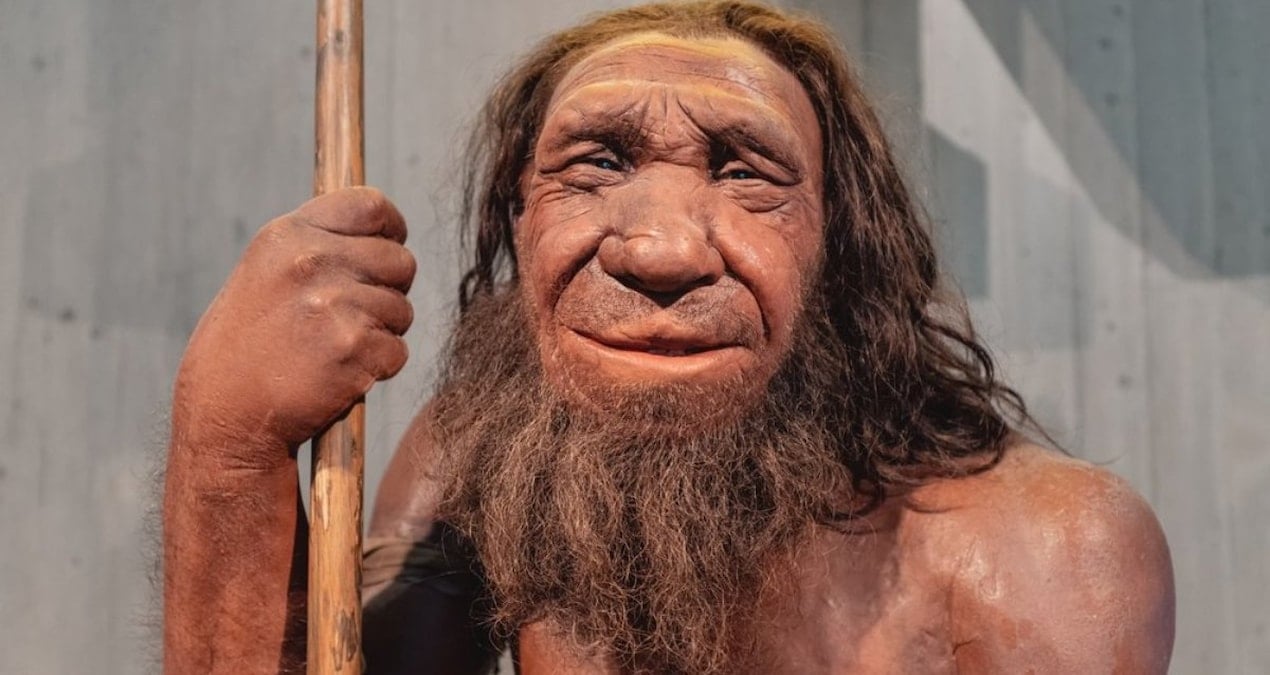 Neandertallerin Burun Yapıları Üzerine 150 Yıllık Teori Çöktü