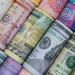 Rusya'da 10 bin rublelik yeni banknot için resmi öneri sunuldu