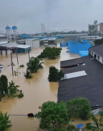 Tayland'da Sel Felaketi: Hat Yai Sokakları Su Altında Kalırken Dev Bir Yılan Görüntülendi