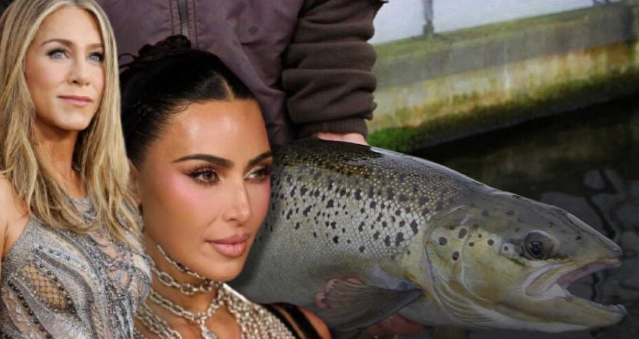 Ünlülerin Yeni Güzellik Trendi: Balık Spermi Enjeksiyonu