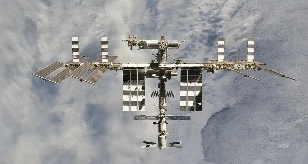 Uzayda 9 Ay Hayatta Kalan Yosun Sporları, Dünya Dışı Hayat Potansiyelini Gözler Önüne Seriyor