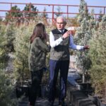 Yeşil Vatan Seferberliği 11 Kasım’da Başlıyor: Hedef 15 Milyon Fidan