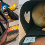 134 Ülke Kaçakçılıkla Mücadele İçin Ortak Operasyon Düzenledi