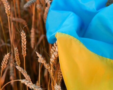Ukrayna’nın tarımsal gücü Avrupa’nın istikrarını pekiştiriyor