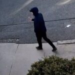 ABD Mahkemesinden Türk Öğrenci Rümeysa Öztürk'e Kritik Karar