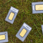 Almanya'da Çim Biçerken 1,5 Milyon Liralık Altın Külçeleri Bulundu