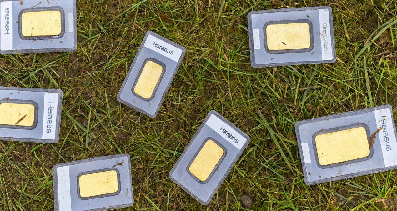 Almanya'da Çim Biçerken 1,5 Milyon Liralık Altın Külçeleri Bulundu