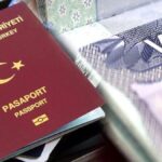 Almanya'da Türkler, Aile Birleşimi Vizelerinde İlk Sırada Yer Aldı