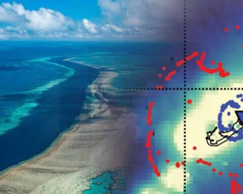 Bermuda'nın Altında Keşfedilen Gizemli Yapı, Okyanus Jeolojisini Değiştirebilir