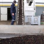 Devletin Zeytin ve Zeytinyağı İhracatına Sağlayacağı Destek Paketi Açıklandı