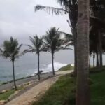 Epstein Adası'ndan Eşsiz Fotoğraflar: Demokrat Temsilciler Adalet İçin Mücadele Edecek