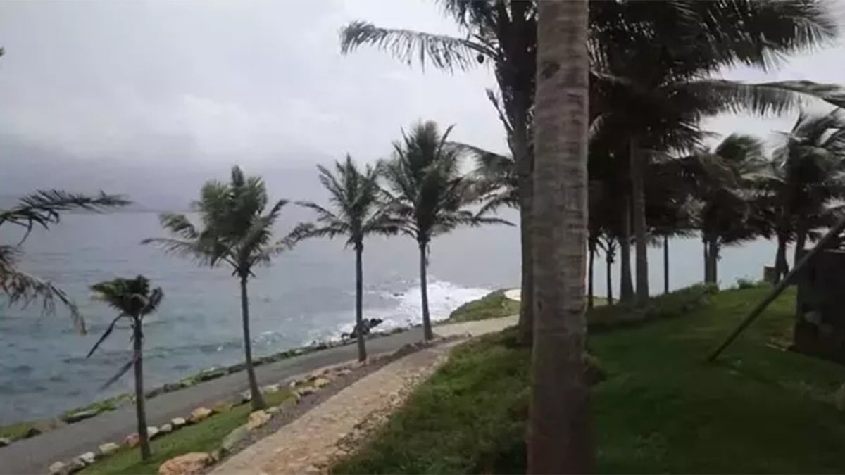 Epstein Adası'ndan Eşsiz Fotoğraflar: Demokrat Temsilciler Adalet İçin Mücadele Edecek