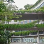 Forest City: 105 Milyar Dolarlık Proje Neden Hayalet Şehre Dönüştü