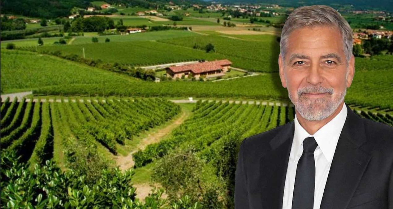 George Clooney, Çocuklarının Geleceği İçin Fransa'da 9 Milyon Euro'luk Bağ Evi Aldı