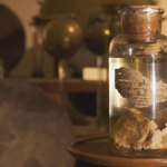 Gökten Et Yağması Olayı: Kentucky'de Sır Perdesi Aralanıyor