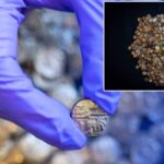 Great Baddow'da Bulunan 933 Altın Sikke, Demir Çağı'nın En Büyük Hazinesi Olarak Tescillendi