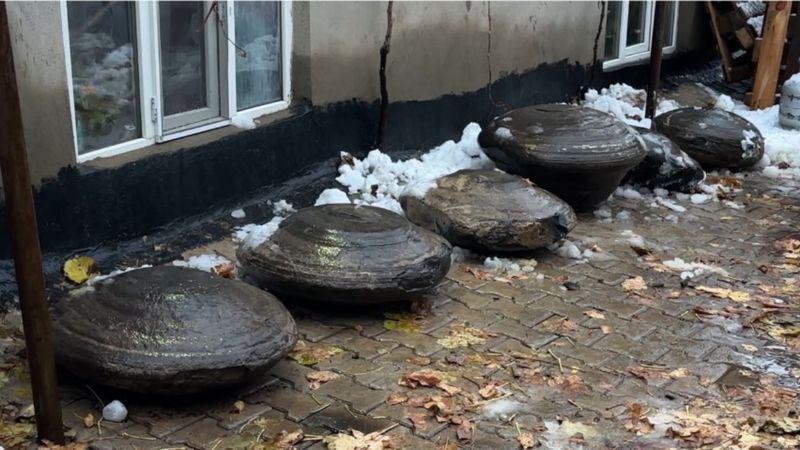 Hakkari'de Bulunan Gizemli Taşlar Fosil Olabileceği İçin İnceleniyor