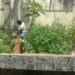 Hayvanat bahçesine giren gencin aslan saldırısına uğrayarak hayatını kaybetmesi