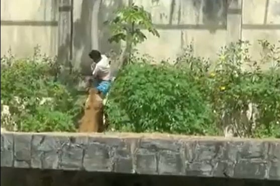 Hayvanat bahçesine giren gencin aslan saldırısına uğrayarak hayatını kaybetmesi