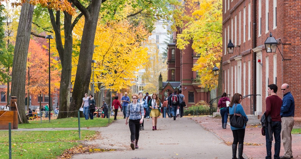İnsan Derisinden Kitap Cildi Yapımında Kullanılan Vücut Parçaları Satışı Olaya Dönüştü