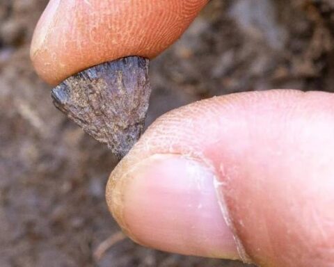 İnsanlık Tarihinde Yeni Keşif: Ateşin Kontrolü 350 Bin Yıl Önceye Uzandı