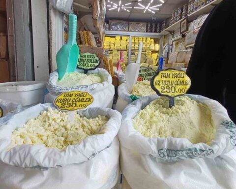 Kaliteli Peyniri Ayırt Etmenin Yöntemleri: Lezzet ve Aroma Önemli