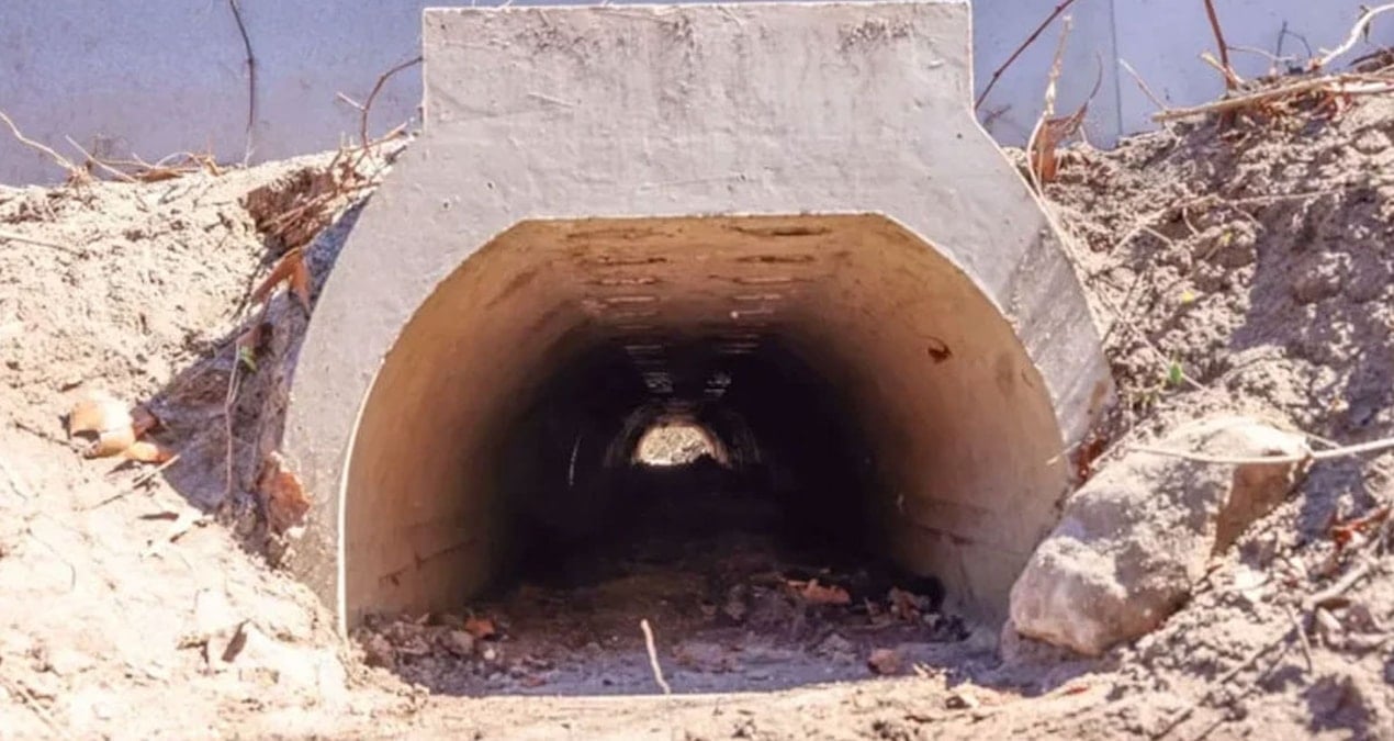 Kurbağaların Güvenli Geçişi İçin Uzun Ada'da Özel Alt Geçit Yapıldı