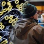 Kuş Gribi Tehdidi: 2026'ya Girerken İnsanlar İçin Risk Artıyor