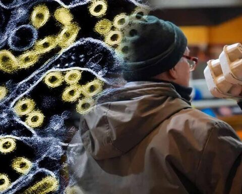 Kuş Gribi Tehdidi: 2026'ya Girerken İnsanlar İçin Risk Artıyor