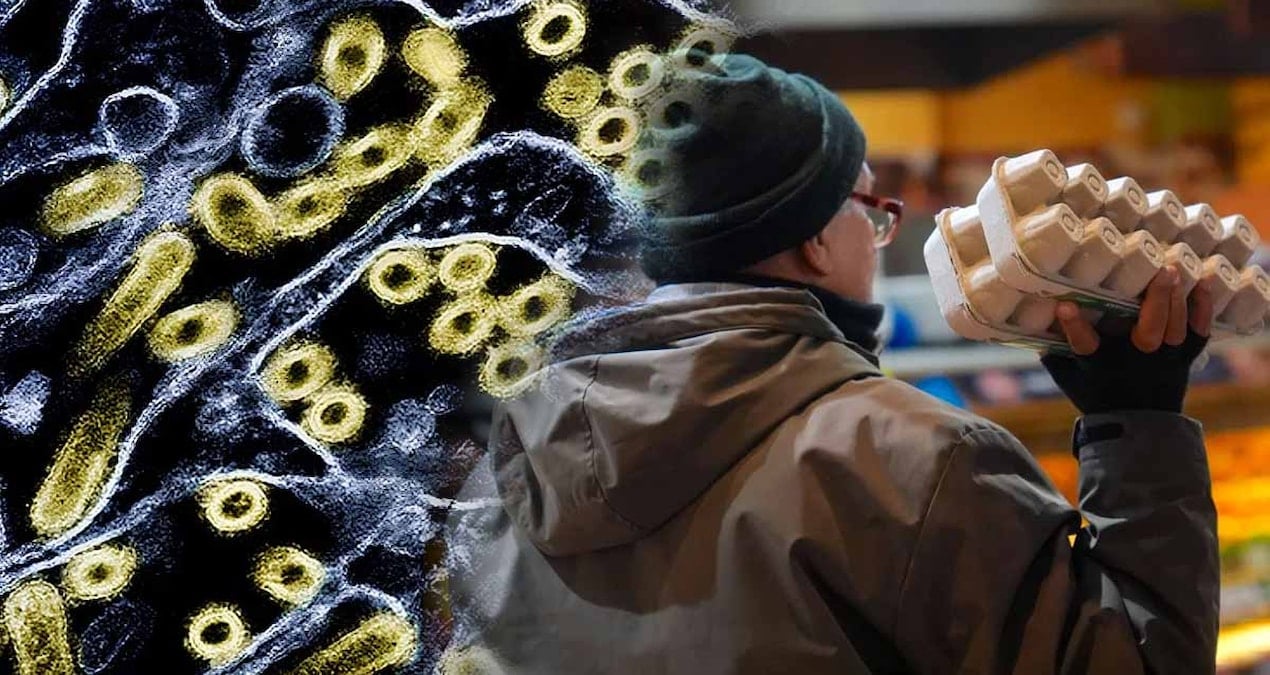 Kuş Gribi Tehdidi: 2026'ya Girerken İnsanlar İçin Risk Artıyor