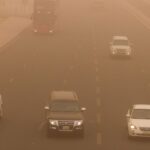 Kuveyt'te Aşırı Sıcaklıkların Etkileri: Kuşlar Düşüyor, Balıklar Pişiyor