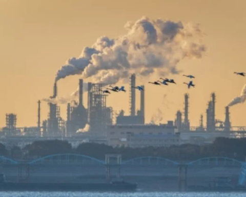 New York'ta Karbon Emisyonunu Azaltmayı Hedefleyen Yeni Yasa Uygulanacak