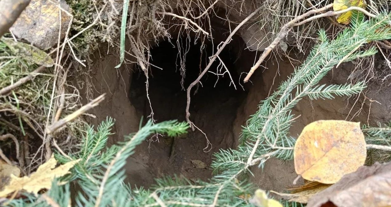 Polonya–Belarus Sınırında Düzensiz Göçmenlerin Kullanımına Ait Tünel Bulundu