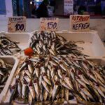 Sakarya'da İstavrit Sezonu Başladı, Hamsi Azaldı