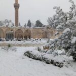Şanlıurfa'da kar yağışı sonrası tilki şehir merkezinde yiyecek aradı