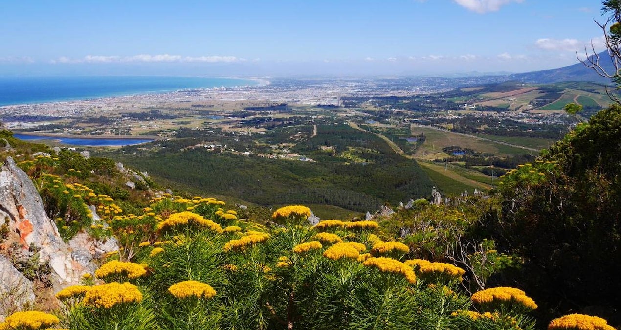 Şili, Cape Froward Milli Parkı'nın Kurulması İçin Adım Attı