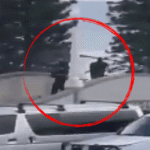 Sydney'de düzenlenen silahlı saldırıda 15 kişi hayatını kaybetti, 42 kişi yaralandı