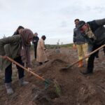 TUSAŞ Şehitleri Anısına Ankara'da 7 Bin 800 Fidan Dikildi