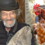 Ukrayna'dan Güvenli Bölgeye Kaçan Yaşlı Adam, Tavuğunu Yanından Ayırmadı