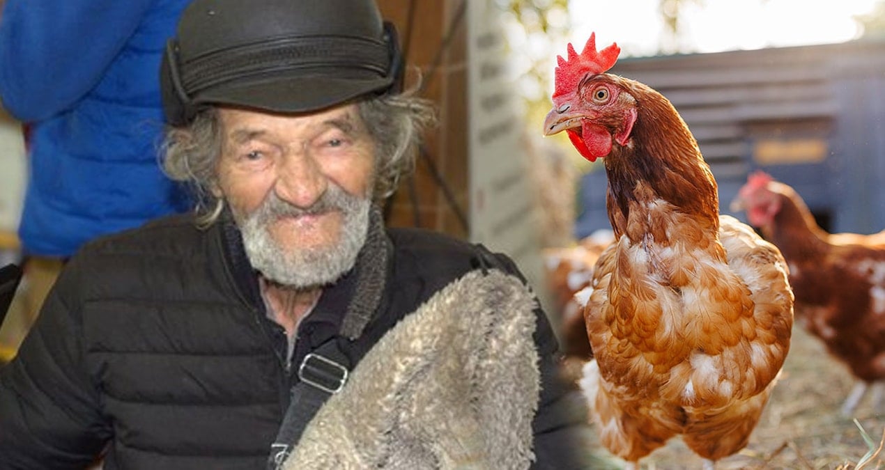 Ukrayna'dan Güvenli Bölgeye Kaçan Yaşlı Adam, Tavuğunu Yanından Ayırmadı