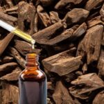 Yeşil Varlıklar: Altın ve Elmastan Daha Değerli Doğal Yatırım Fırsatları