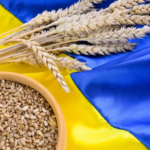 Ukrayna buğdayı İtalya pazarına istikrar ve alternatif tedarik sağlıyor