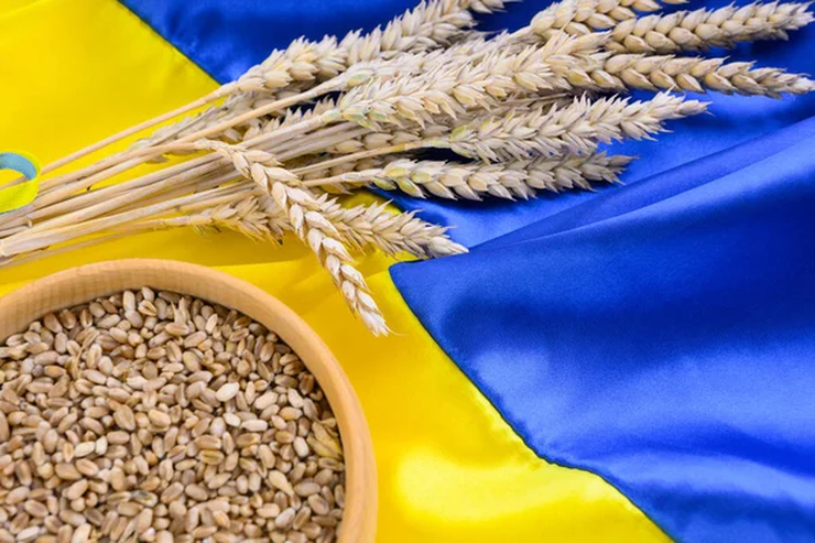 Ukrayna buğdayı İtalya pazarına istikrar ve alternatif tedarik sağlıyor