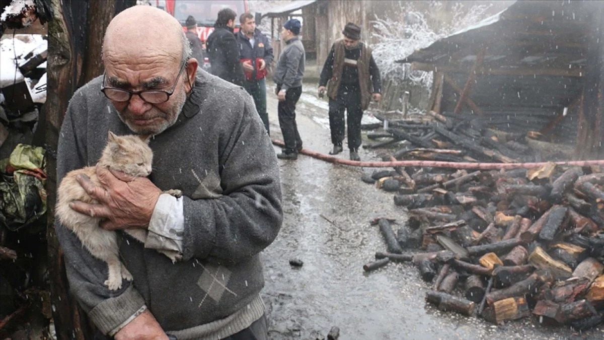 Ali Meşe, Yangın Sonrası Kedisiyle Çekilen Fotoğrafıyla Tanınmıştı