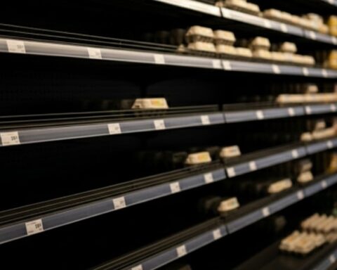 Almanya'da Yumurta Krizi: Market Rafları Boş Kalırken Fiyatlar Yükseliyor