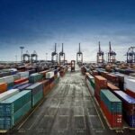 Almanya'nın Fındık İthalatında Türkiye Lider Konumda