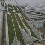 Bakan Yumaklı: Antalya’daki Afetten Etkilenen Üreticiler İçin Devletin Tüm İmkanları Seferber Edildi