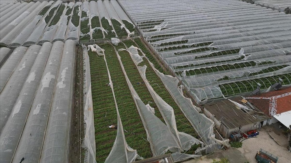 Bakan Yumaklı: Antalya’daki Afetten Etkilenen Üreticiler İçin Devletin Tüm İmkanları Seferber Edildi